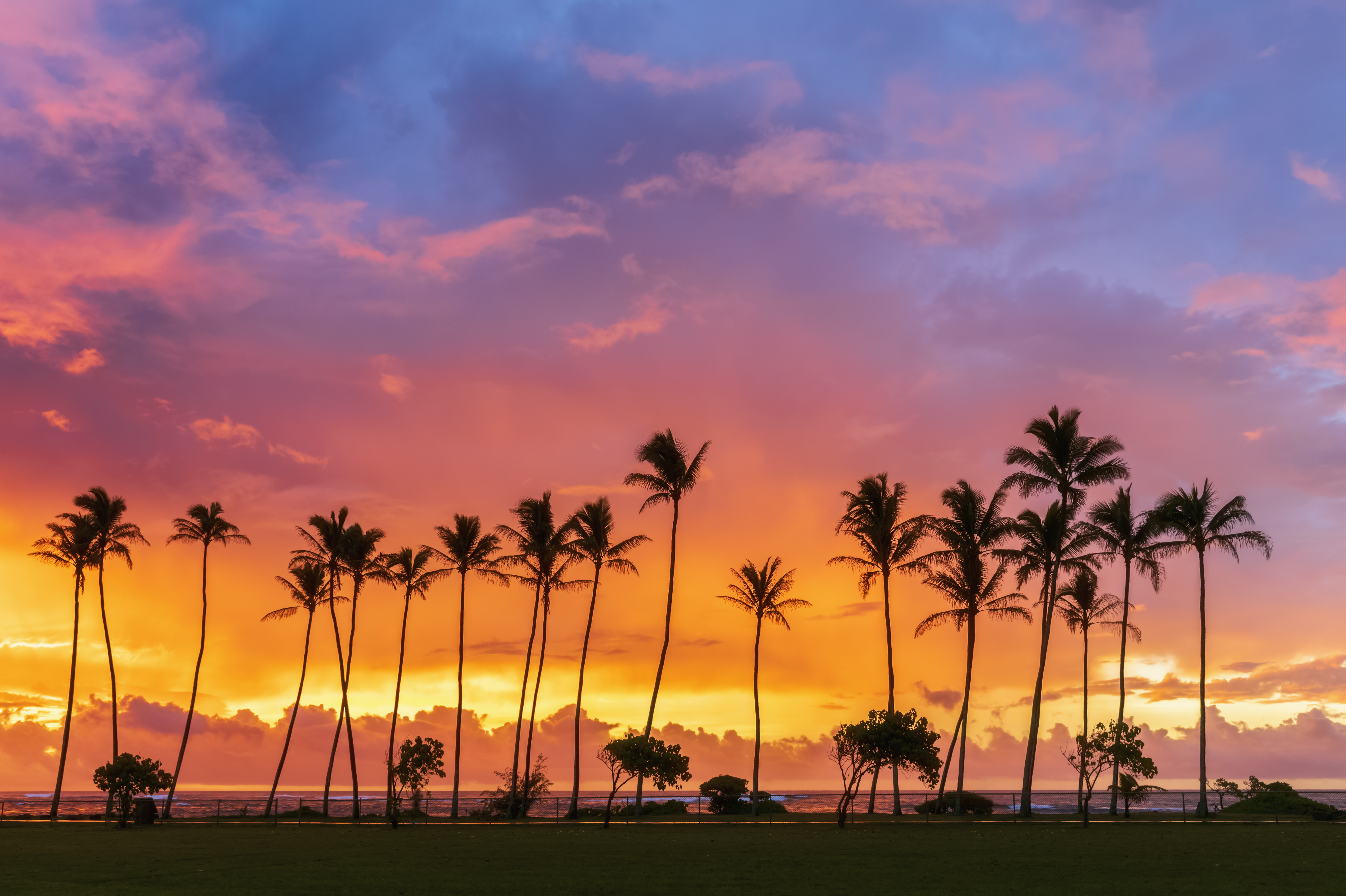 USA, Hawaii, Kauai, Pacific Ocean, Kapa'a Beach Park, palms at sunrise